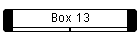 Box 13